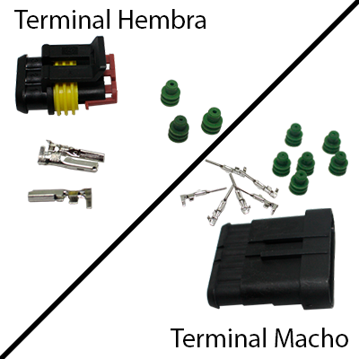 kit-ss-thumbnail-1